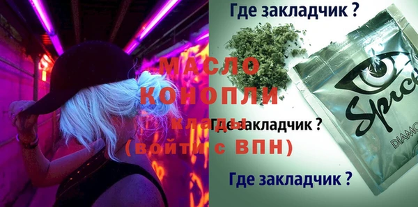 молекула духа Балахна