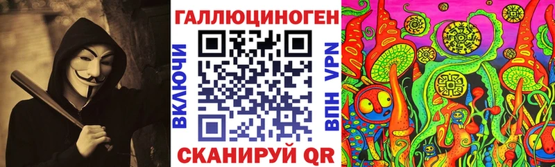 продажа наркотиков  Сафоново  Галлюциногенные грибы Psilocybe 